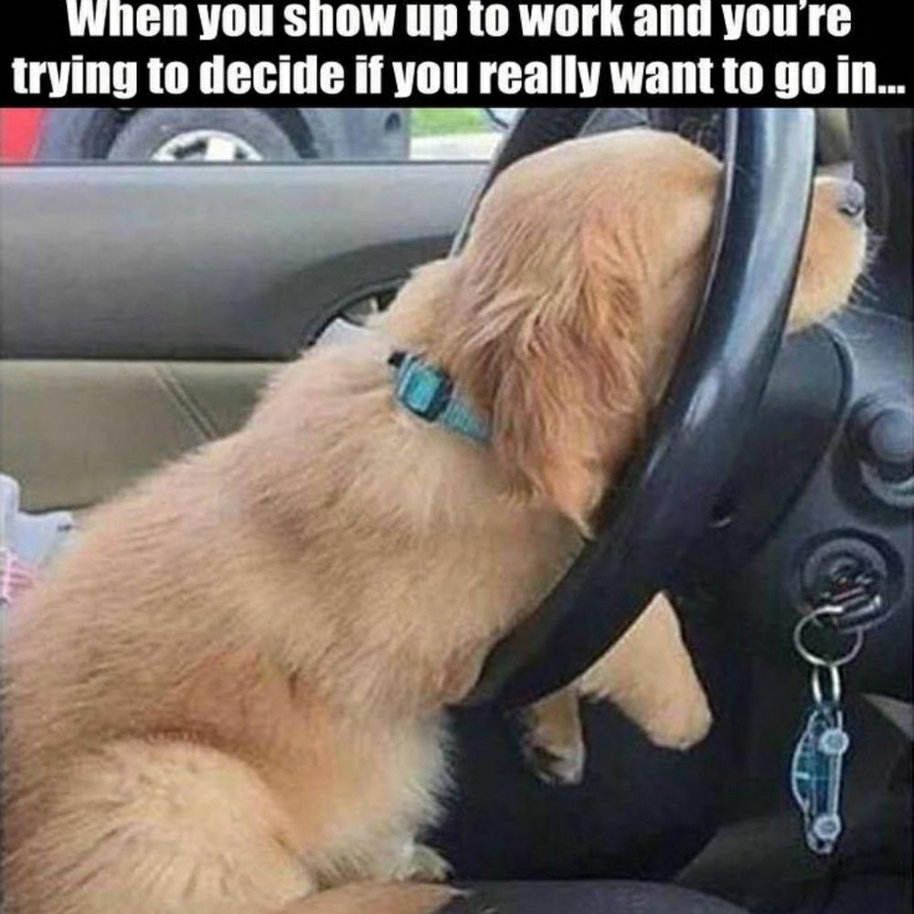 This will be me today😔